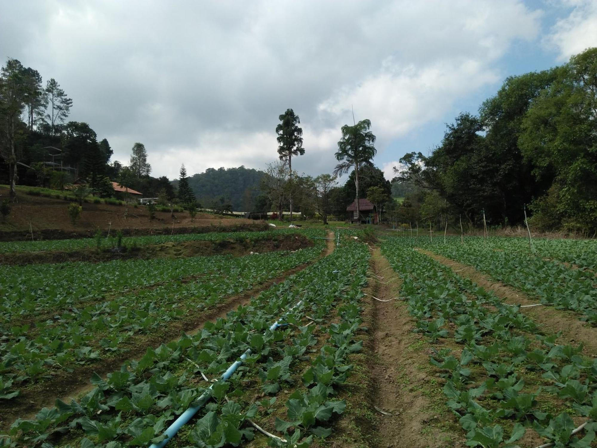 Mong Homestay Resort Pang Ung 외부 사진
