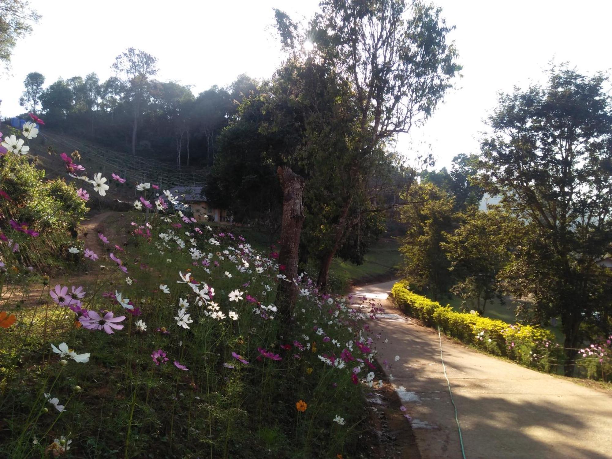 Mong Homestay Resort Pang Ung 외부 사진